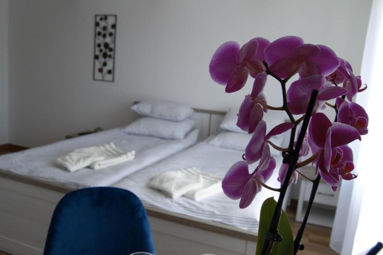 U Rybaka Apartment Braniewo Ngoại thất bức ảnh